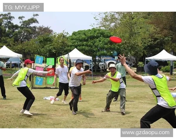 上海飞盘队运营革新探索:从团队建设到市场推广的全新路径分析