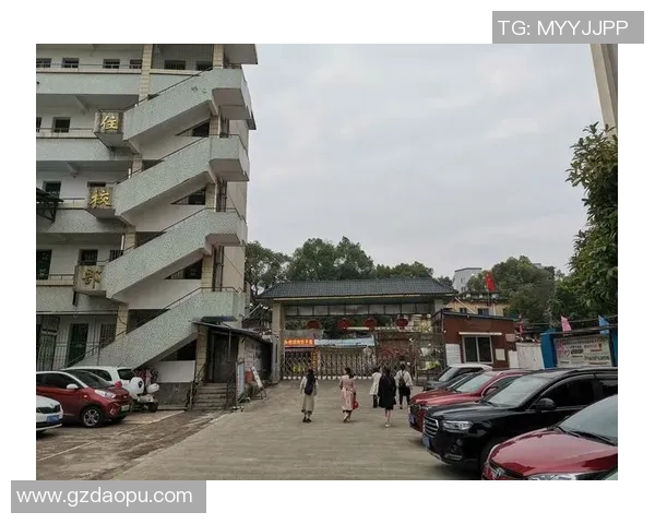 杭州足球队逆袭之路的真实故事与奋斗精神全纪录