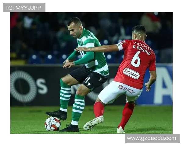 费雷拉与法马利卡奥的精彩对决分析与赛季展望