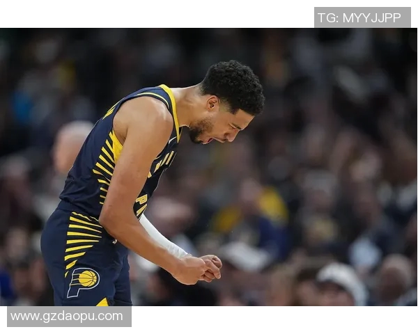 篮球明星哈利的传奇之路与他背后的奋斗故事