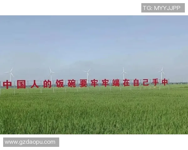 代怀博的崛起与挑战：探索新时代下的商业模式与社会影响